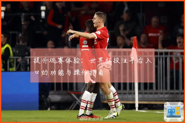 提升观赛体验：世界杯投注平台入口的功能与操作指南