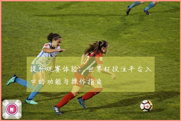 提升观赛体验：世界杯投注平台入口的功能与操作指南