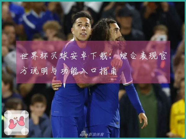 世界杯买球安卓下载：综合表现官方说明与功能入口指南